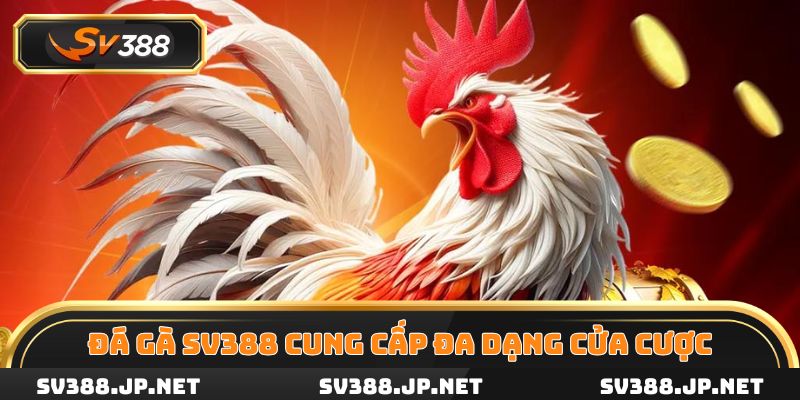 Đá gà SV388 cung cấp đa dạng cửa cược cho người chơi