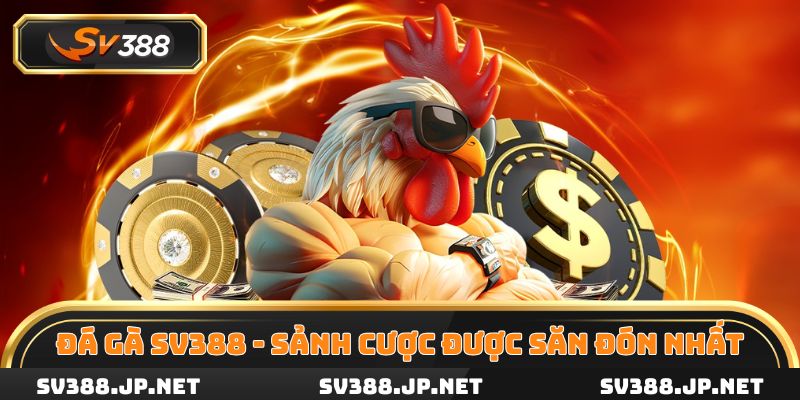 Đá gà SV388 sảnh cược trực tuyến được săn đón nhất 2025